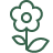 King Landscapes icon of flower