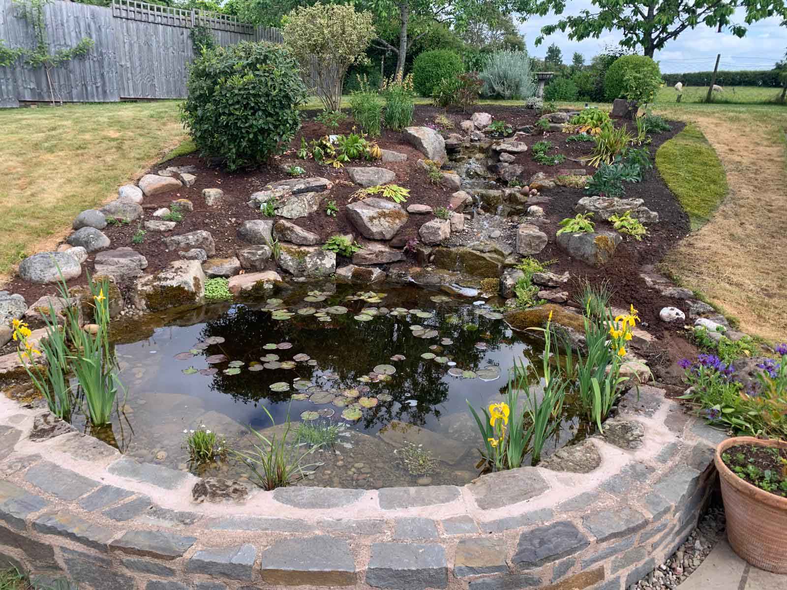 pond-natural