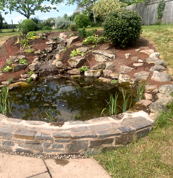 King-landscapes-pond with natural planting
