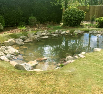 King Landscapes photo of turfing around pond