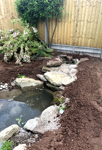 King landscapes photo of natural slanted pond feature