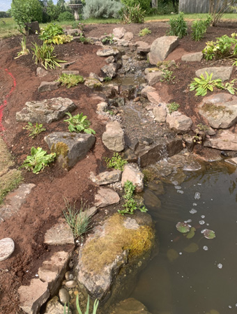 King landscapes photo of naturally planted pond