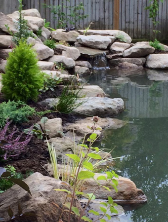 King landscapes photo of natural pond